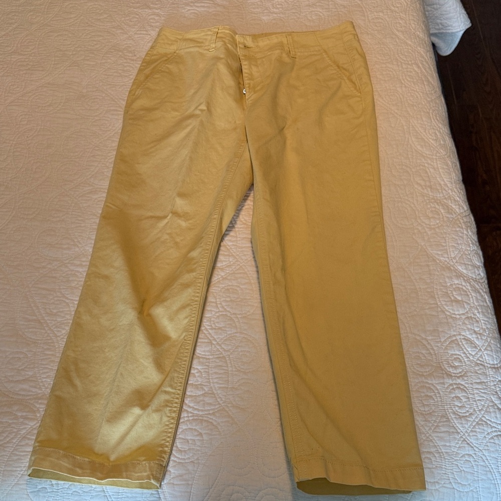 Loft Yellow Casual Cotton Pants